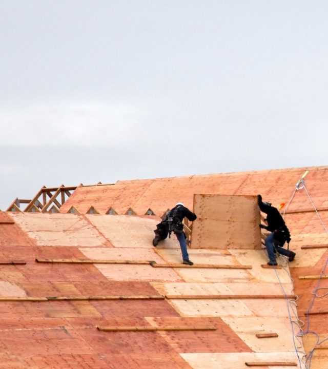 roofing contractor